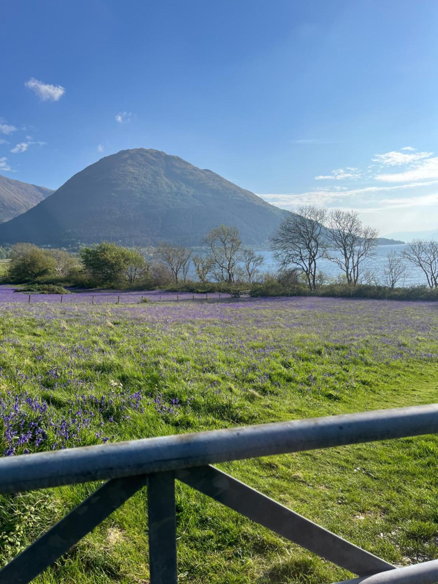 View Of The Mountain Lejlighed North Ballachulish Eksteriør billede